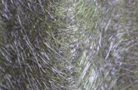 Belhaven fibreglass roof work